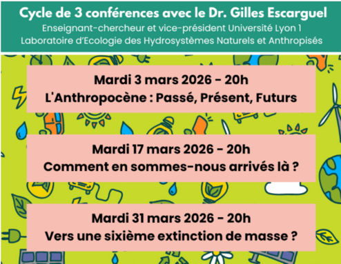 Capture d'écran 2026-03-29 202457.png